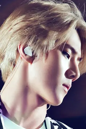 ปกนิยาย [EXO] Sehun Machinery {HunHan}