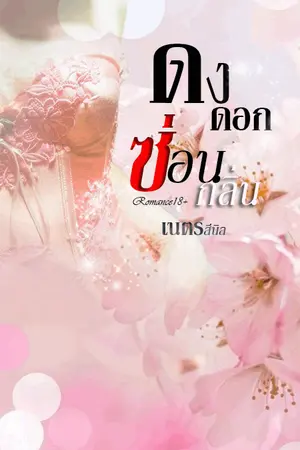 ปกนิยาย