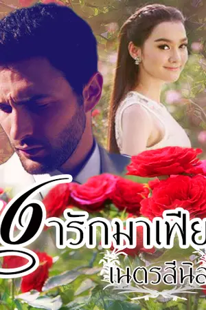 ปกนิยาย