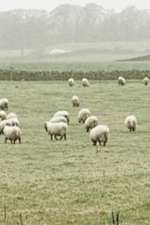 ปกนิยาย Farm to Farm | chanbaek .