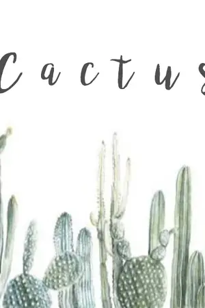 ปกนิยาย [os/sf] Cactus project . chanbaek♡