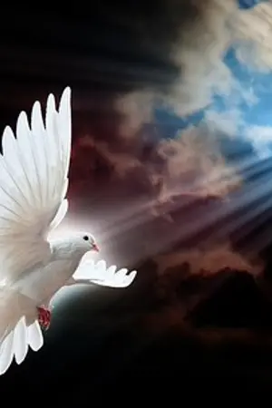 ปกนิยาย นกพิราบสยาม[รับสมัครตัวละคร]