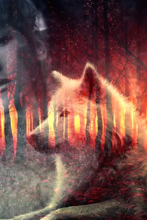 ปกนิยาย My WOLF คุณหมาป่าของผม [ChanBaek KaiHun ft.EXO GOT7]