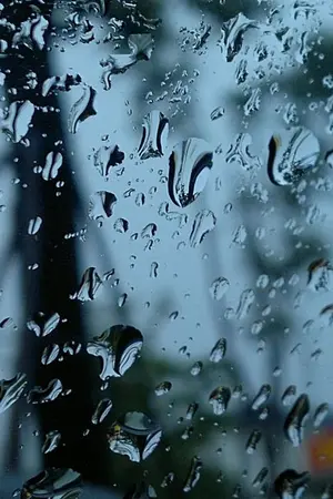 ปกนิยาย WHAT BRINGS YOU HERE? #MINJ