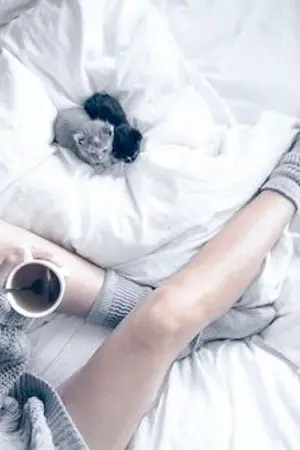 ปกนิยาย SF : HARRY POTTER | [all HP]