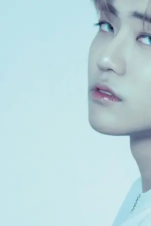 ปกนิยาย Dark in the night [MARKMIN FT. NCT]