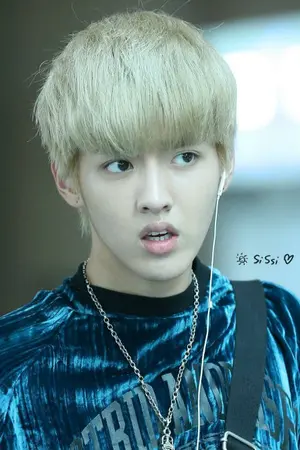 ปกนิยาย (EXO) fic Dear....brother  พี่ชายที่รัก (chankris hunhan ft.exo )