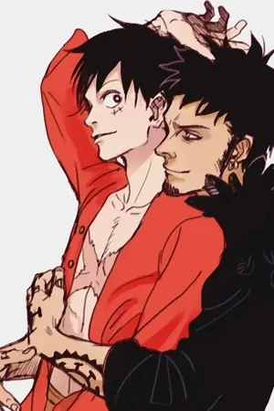 ปกนิยาย ◤ One-Piece ◢ : Fanfic - Law x Luffy