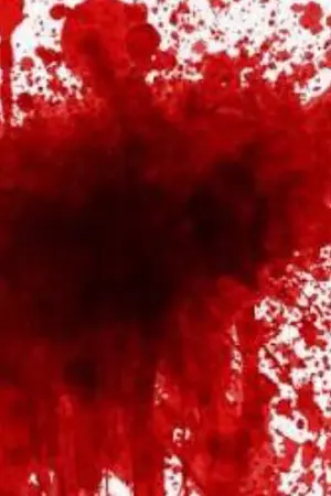 ปกนิยาย home.....