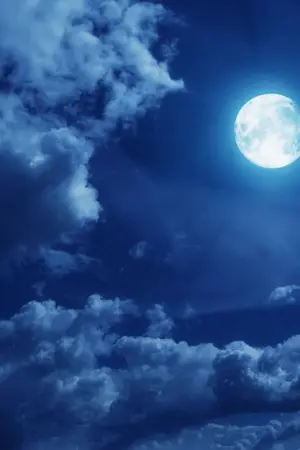 ปกนิยาย การพบกันของหมู่คนตาสี