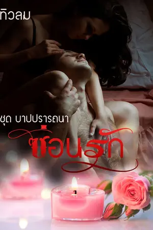 ปกนิยาย ซ่อนรัก ซีรี่ส์ บาปสวาท