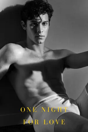 ปกนิยาย ONE NIGHT FOR LOVE คืนร้อนซ่อนรัก