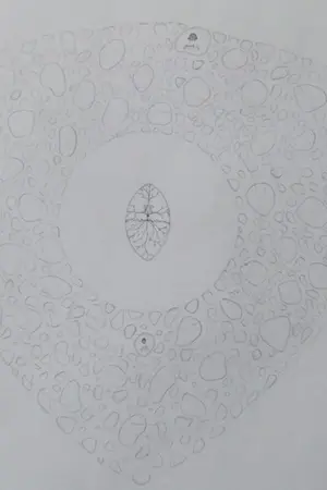 ปกนิยาย คู่มือชมพูทวีป และ หิมพานต์