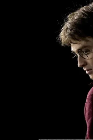 ปกนิยาย Harry Potter in to love