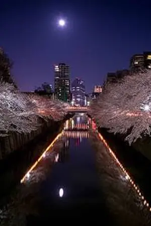 ปกนิยาย เลือดรักในคืนพระจันทร์เสี้ยว(blackpink x rvv)