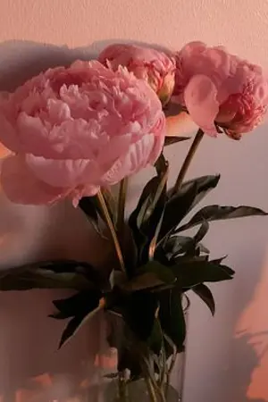 ปกนิยาย (NCT) PEONY PASSION - LUMARK (OMEGAVERSE)