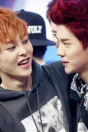 ปกนิยาย flower for you [LUMIN & Chanyeol ft EXO]