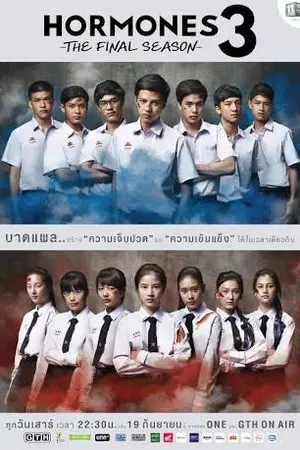 ปกนิยาย Hormones season3 -รักวุ่นๆกับวัยรุ่นตัวแสบ