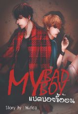 ปกนิยาย my bad boy (end)