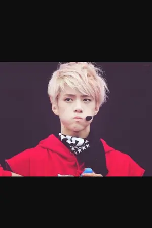 ปกนิยาย [Sehun x you]  My idols