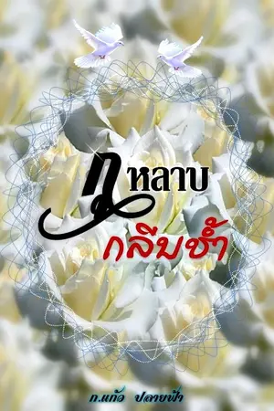 ปกนิยาย