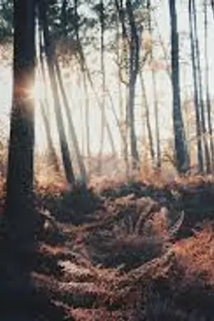 ปกนิยาย | X's and O's | Markjin