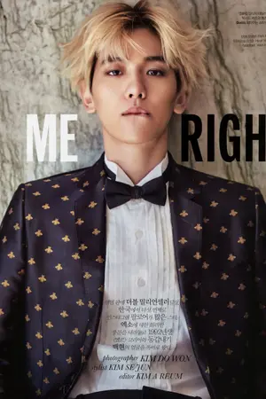 ปกนิยาย What if (CHANBAEK)