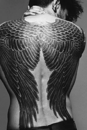 ปกนิยาย WINGS MARK