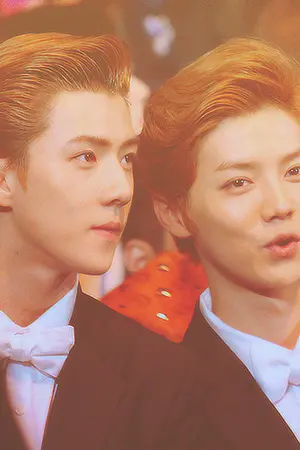 ปกนิยาย OH! The Brother : รักพี่เป็นของนาย (HUNHAN ft.EXO)