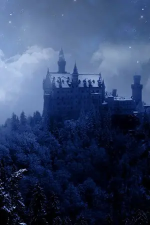 ปกนิยาย True world