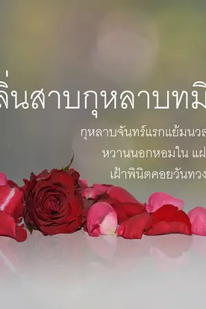 ปกนิยาย กลิ่นสาบกุหลาบทมิฬ (ซีรีส์เงาใจกฤติยาจันทร์)