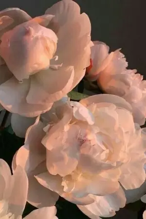 ปกนิยาย (nct) I don't know what to do #johnjae