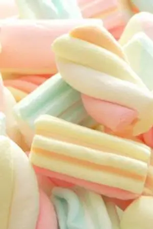 ปกนิยาย Marshmallows Love