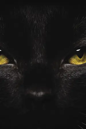 ปกนิยาย BLACK  CAT  [Seventeen Fiction]