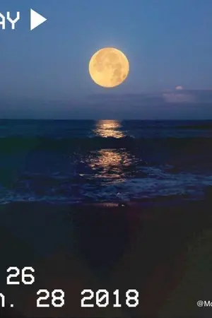 ปกนิยาย 0MILESพลินทร์จันทรา #9MOONS9M [ YAOI ]