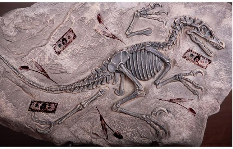 Палеонтологические находки животных. Окаменелости кости динозавров. Скелет динозавра окаменелость. Скелеты динозавров окаменелости раскопки. Окаменелости Юрского периода динозавры.