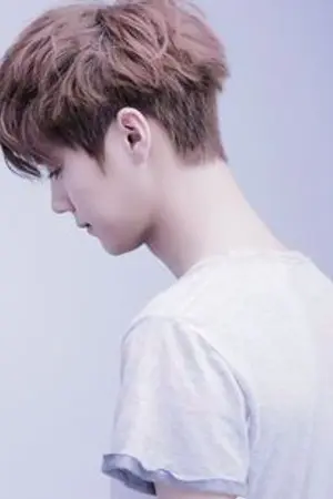 ปกนิยาย See the light HUNHAN