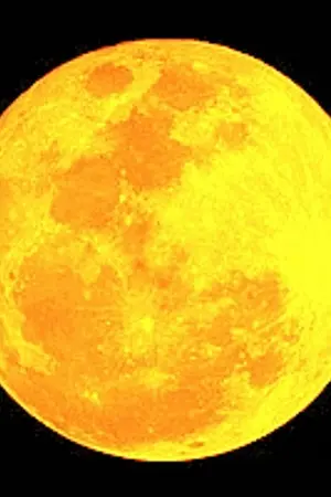 ปกนิยาย Ice Princess หวานใจนายสุดหล่อ