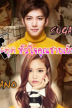 ปกนิยาย