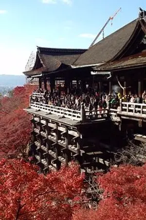 ปกนิยาย ชีพอมตะ-ตามหัวใจนายพันปี