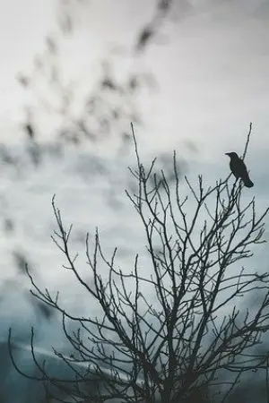 ปกนิยาย ซาตานปราถนา