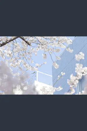 ปกนิยาย ครั้งหนึ่ง..เราเคยรักกัน