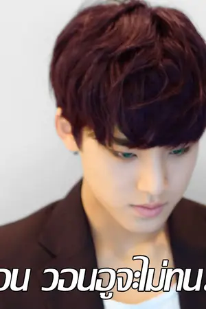 ปกนิยาย Don't Judge Me #MINWON | SEVENTEEN