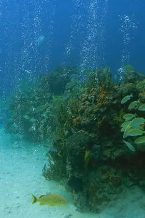 ปกนิยาย Little Mermaid [Vkook,Gakook]