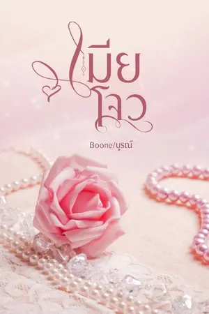 ปกนิยาย เมียโจว มีE book