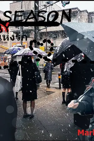 ปกนิยาย MA SEASON (ฤดูแห่งรัก)  markbam  benier   jackjea