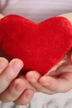 ปกนิยาย โลกของคนโสด