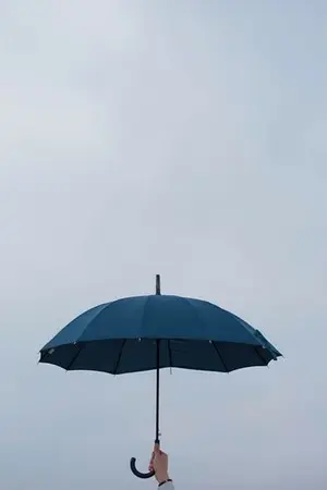 ปกนิยาย ทิวตะวัน — taeten