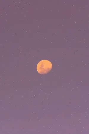 ปกนิยาย [KOOKMIN] Will you still miss me tomorrow : #กุกมินวันพรุ่งนี้