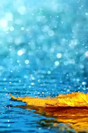 ปกนิยาย The Secret of Season : rainy season